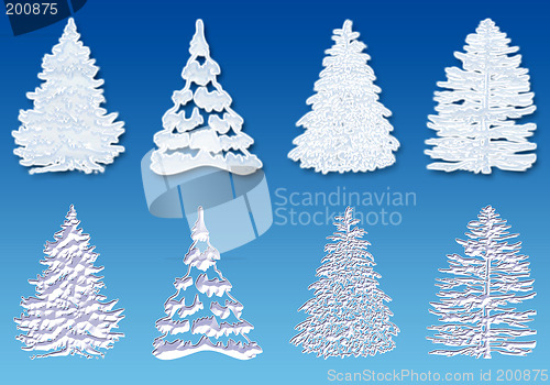 Image of Snow tree