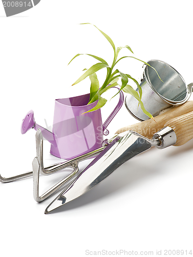 Image of Purple Watering Can with Green Plant