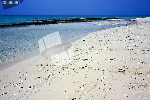 Image of beach and sand in sand bank  tanzania zanzibar