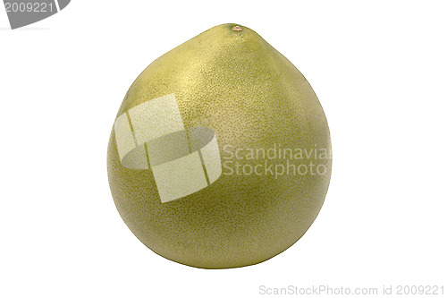 Image of Grapefruit