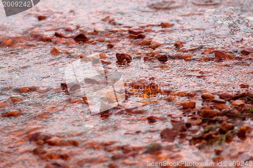 Image of Polluted water flowing