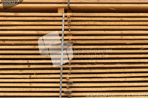 Image of Stacked up wood