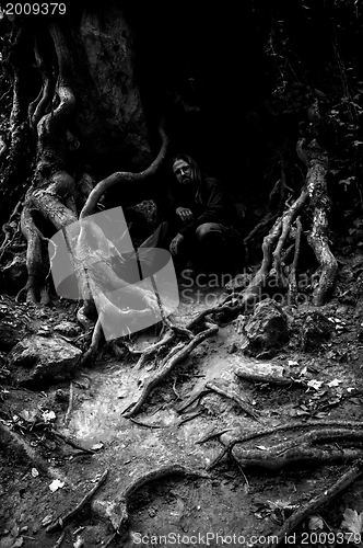 Image of Roots of a tree