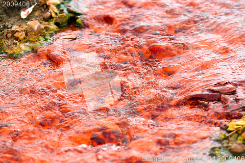 Image of Polluted water flowing