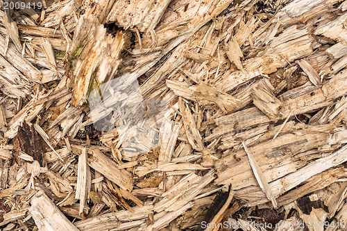 Image of Damaged wood background