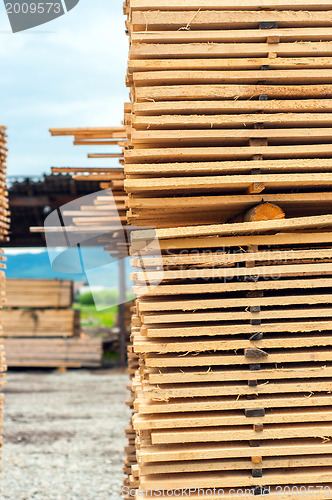 Image of Stacked up wood