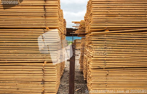 Image of Stacked up wood