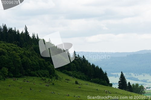 Image of People traveling on the mountain