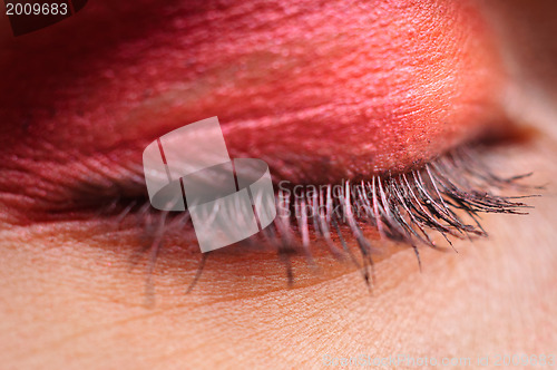 Image of Eye of a woman closeup