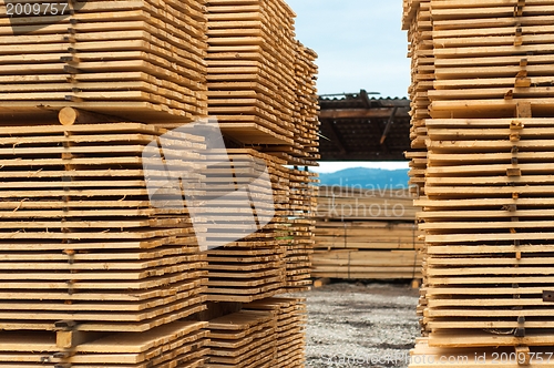 Image of Stacked up wood