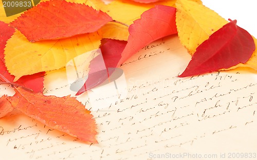 Image of handwritten letter with autumn leaves