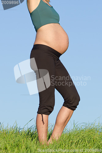 Image of pregnant woman on meadow