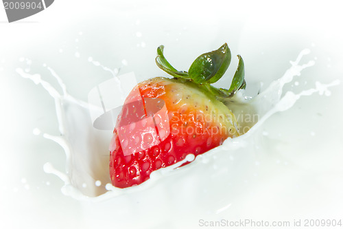 Image of strawberry splashing into milk