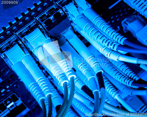 Image of network cables