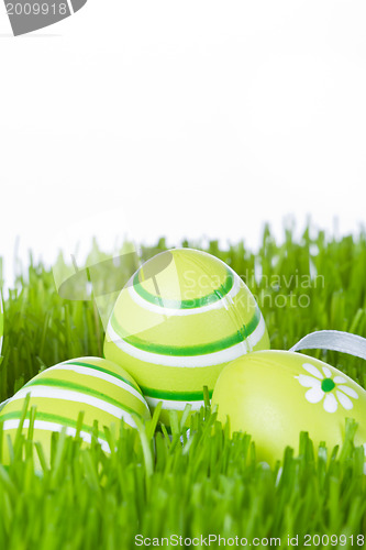 Image of easter eggs in grass