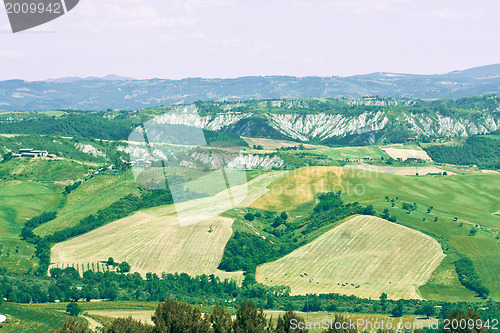 Image of Typical Tuscan landscape