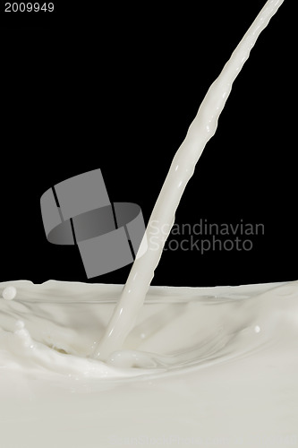 Image of milk splash