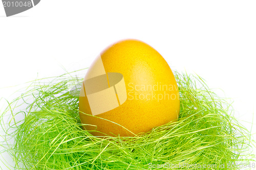 Image of easter egg in nest