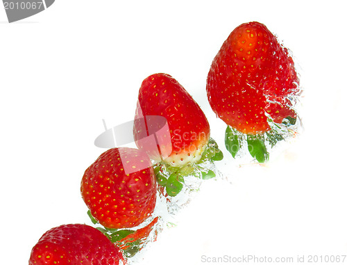 Image of strawberry in the water