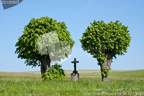 Image of cross in the field