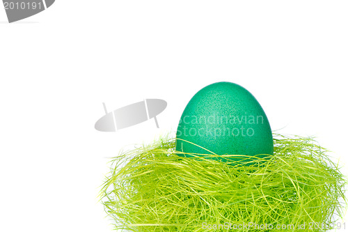 Image of easter egg in nest