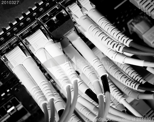 Image of network cables
