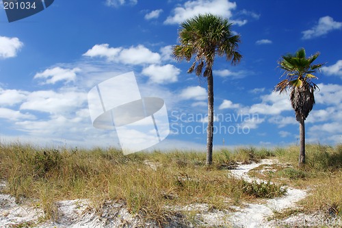 Image of Coastal Path