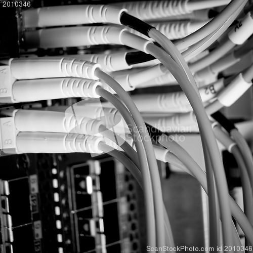 Image of network cables