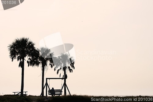 Image of Sunset Silhouette View