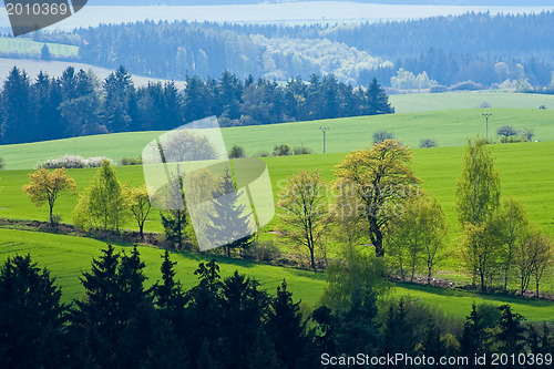 Image of green field