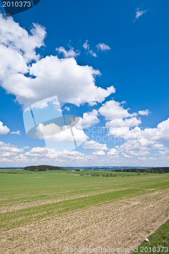 Image of green field