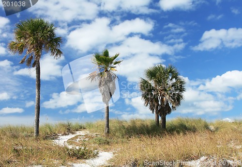 Image of Coastal Path