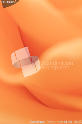 Image of orange rose macro