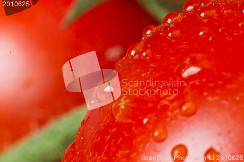 Image of tomato closeup