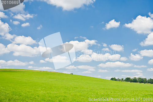Image of agriculture landscape