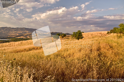 Image of typical sicilian landscape