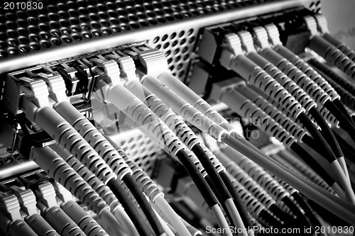 Image of network cables