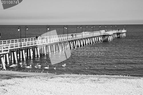 Image of wooden pier