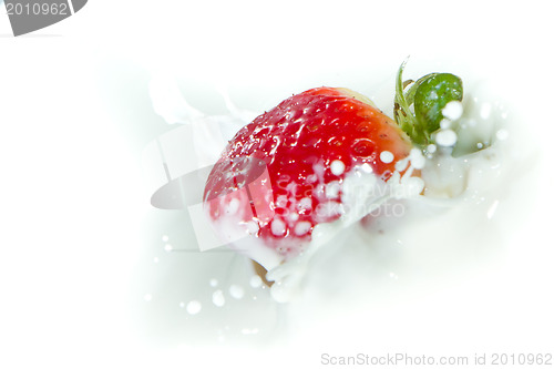 Image of strawberry splashing into milk