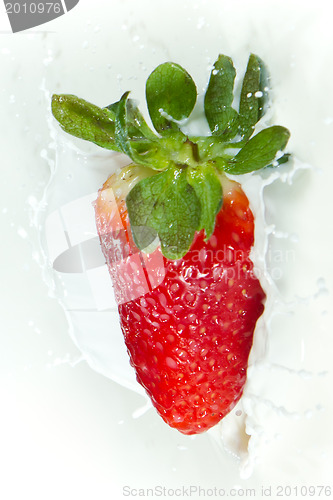 Image of strawberry splashing into milk