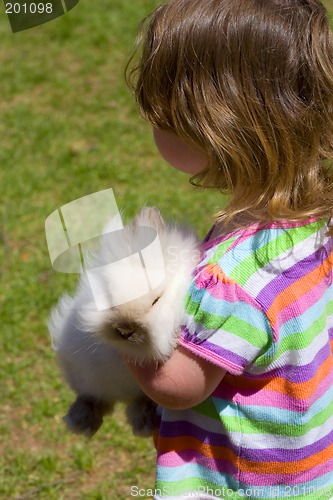 Image of A Pet Bunny