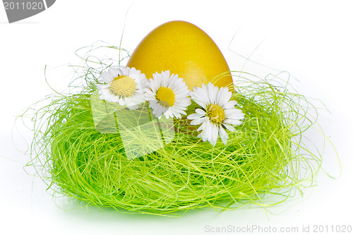 Image of easter egg in nest
