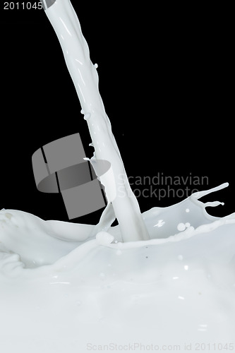 Image of milk splash