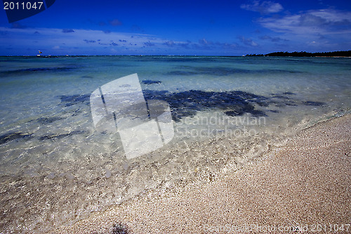 Image of beach  in ile du cerfs mauritius