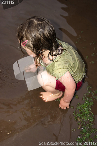 Image of Fun in the Mud