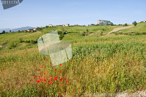 Image of Typical Tuscan landscape