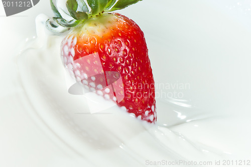 Image of strawberry splashing into milk