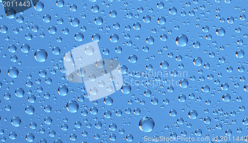 Image of Water drops