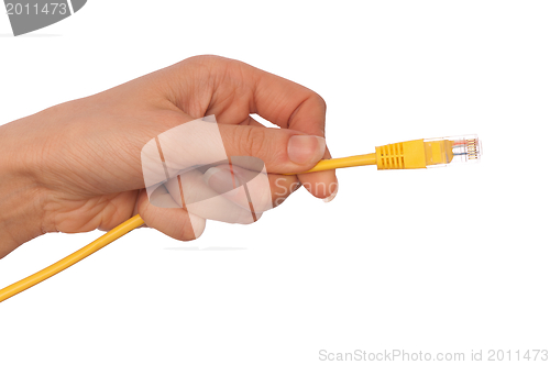 Image of LAN cord