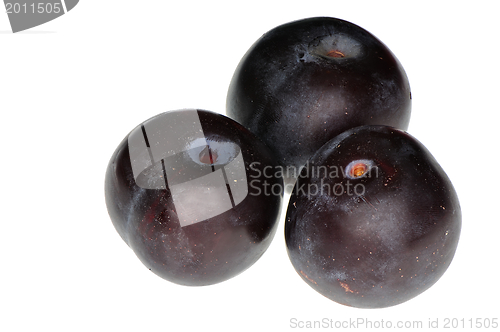 Image of Three plums